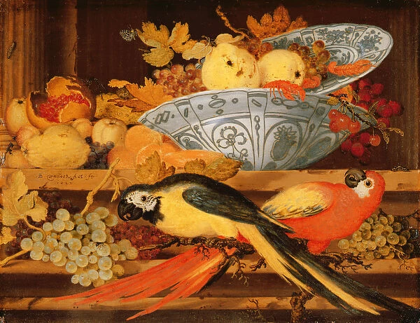 Still Life with Fruit and Macaws, 1622 (oil on copper)
