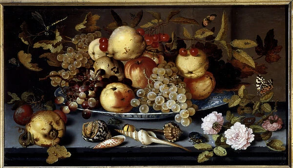 Still life of fruits, flowers, shells and insects. Painting by Balthasar Van Der Ast