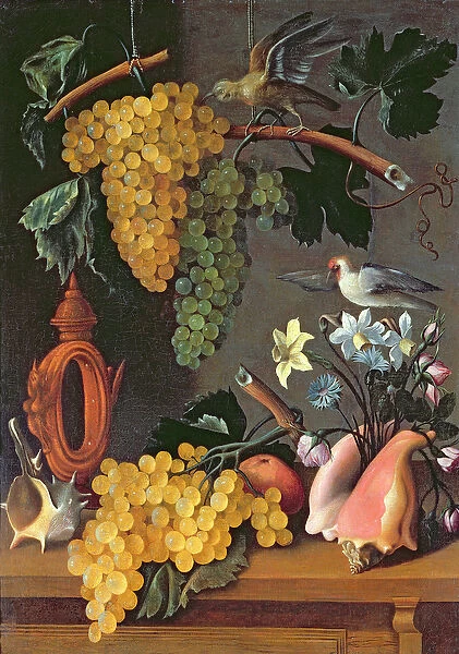 Still Life with Grapes, Birds, Flowers and Shells (oil on canvas)