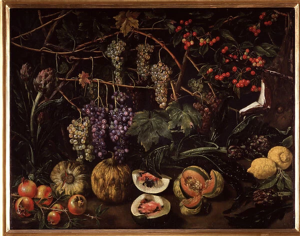 Still life with grapes and squashes (painting, 17th century)