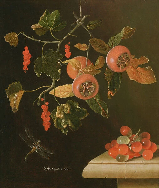Still Life of Medlars, Redcurrants, Grapes and a Dragonfly, 1686