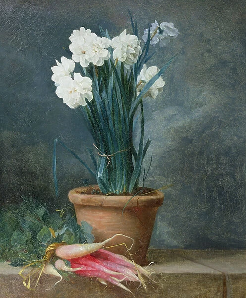 Still Life of Narcissi in a Terracotta Pot (oil on canvas)