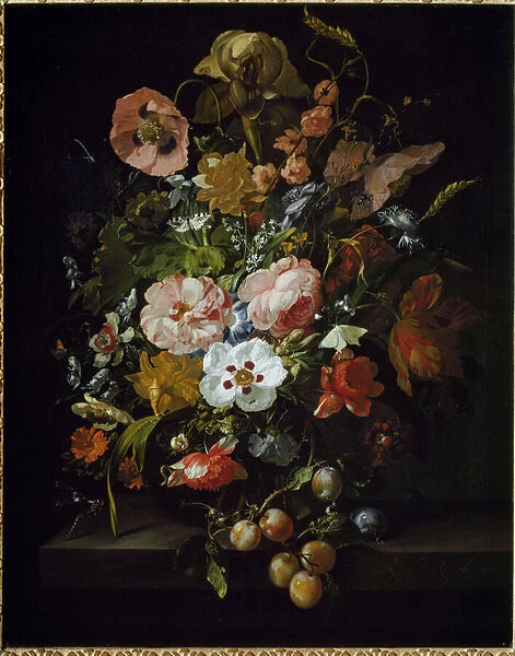 Still Life (oil on canvas, 1703)