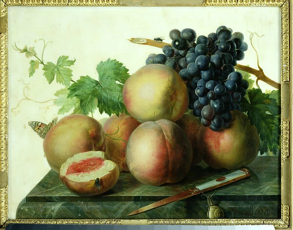 Still Life with Peaches and Grapes on Marble (oil on canvas)