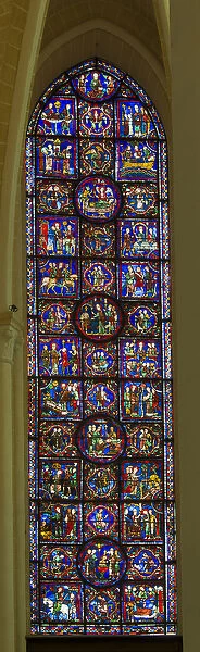 The Life of St Martin of Tours stained glass window - Stained glass of the Cathedrale de