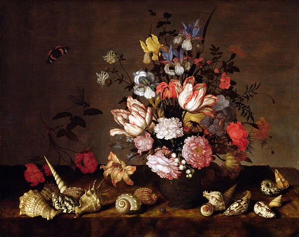 Still life of a vase of flowers with shells (oil on panel)