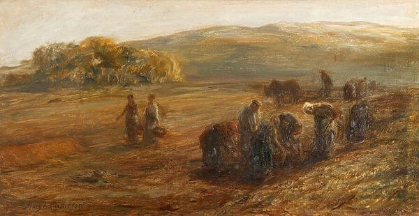 Lifting Potatoes, 19th century (oil on canvas)