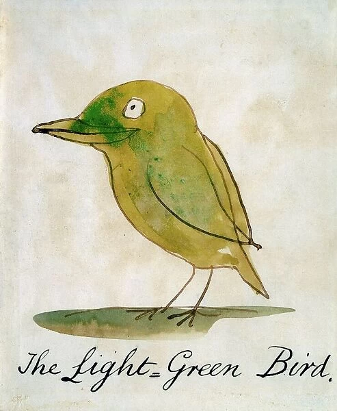 The Light Green Bird, from Sixteen Drawings of Comic Birds