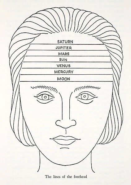 The lines of the Forehead (litho)