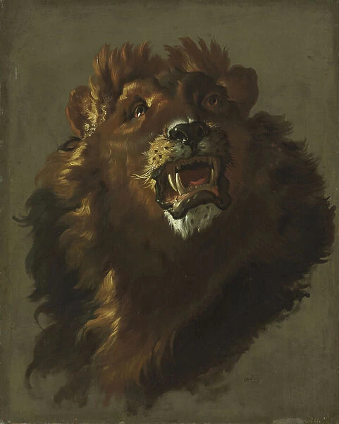 Lion, 1750s (oil on canvas)