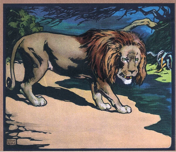 Lion, 1910 (colour litho)
