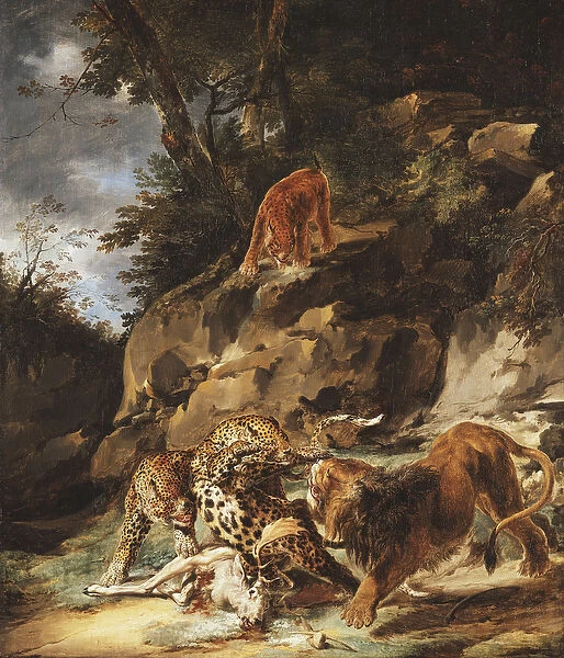 A Lion Driving a Pair of Leopards off a Dead Stag, (oi on canvas)