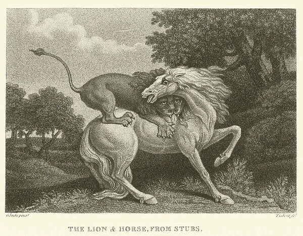 The Lion and Horse, from Stubs (engraving)