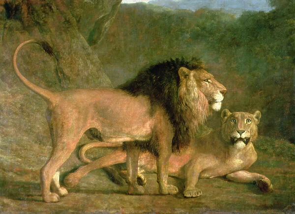 A Lion and a Lioness in a Rocky Valley (oil on canvas)