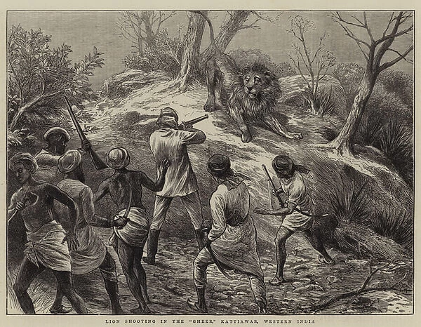 Lion Shooting in the 'Gheer, 'Kattiawar, Western India (engraving)