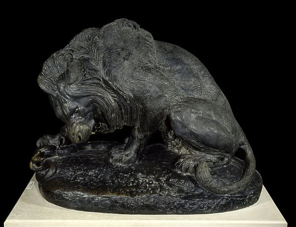 The lion and the snake Bronze sculpture by Antoine Louis Barye (1795-1875) 1832 Paris