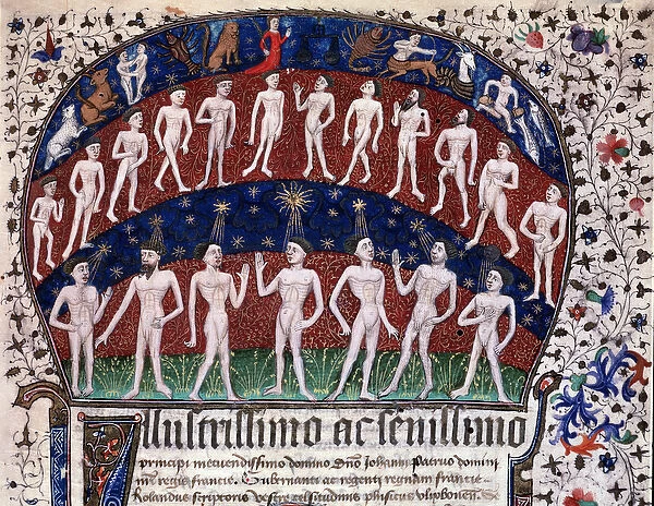 Lisbon, MS 52-XIII-18 f. 1r, miniature representing the correspondences between the organs