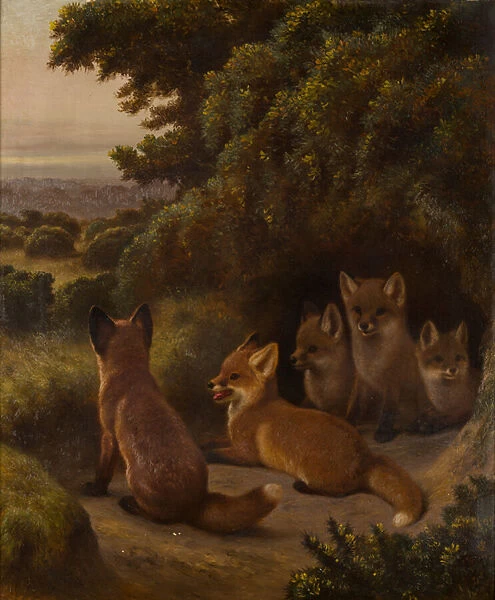 A litter of Fox Cubs, c. 1855-92 (oil on canvas)