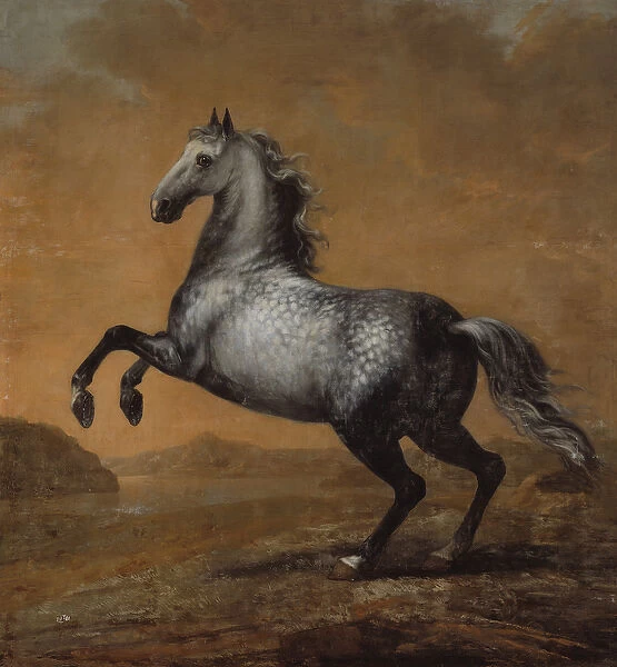 The Little Englishman, King Karl XI (1655-97)s Horse (oil on canvas)