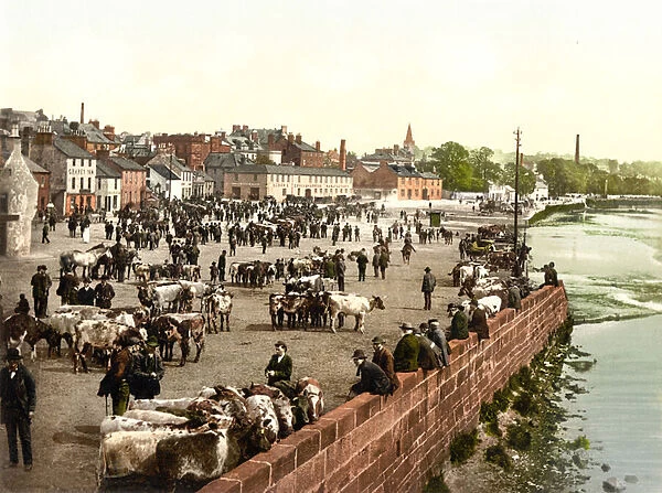 Livestock Market on the The Whitesands in Dumfries, pub. c