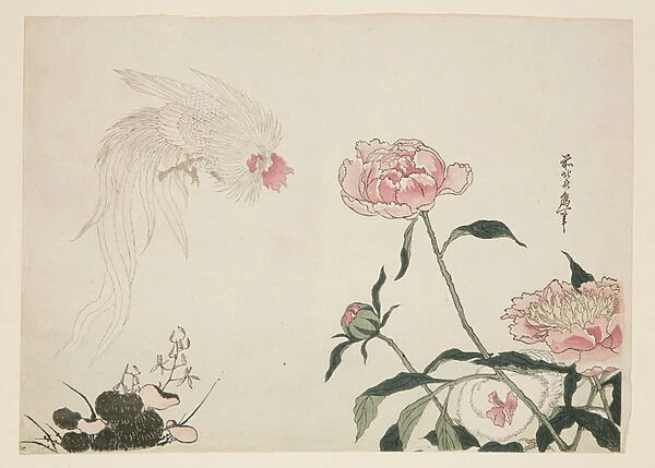Long Tail Roosters among Flowers (colour woodblock print)