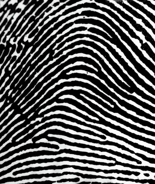 Framed Print : A Loop fingerprint, 1900