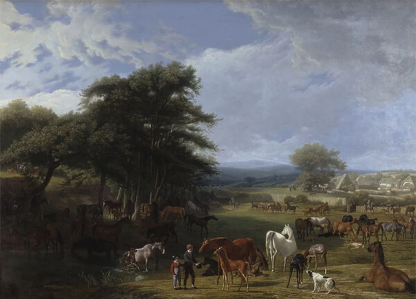 Lord Rivers Stud Farm, Stratfield Saye, 1807 (oil on canvas)
