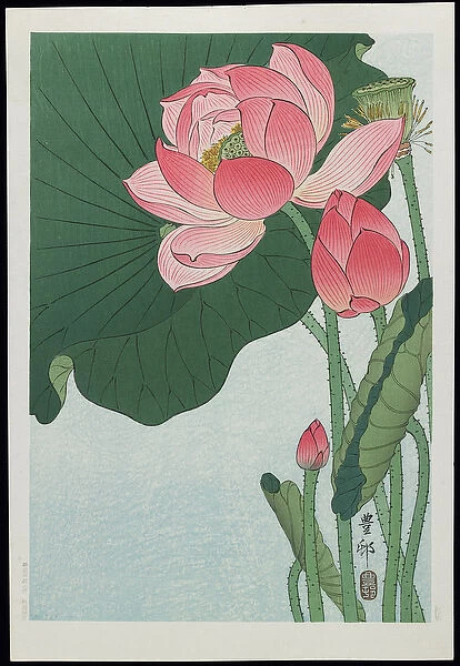 Lotus, 1930s (colour woodblock print)
