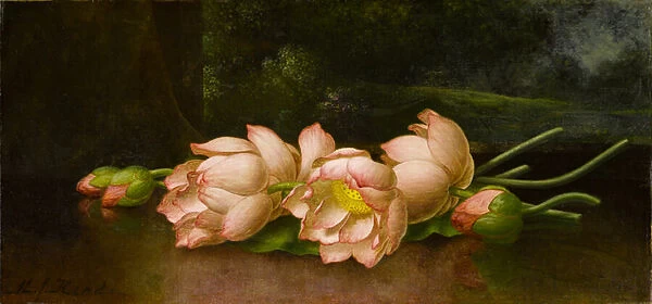 Lotus Flowers: A Landscape Painting in the Background, c. 1885-1900 (oil on canvas)