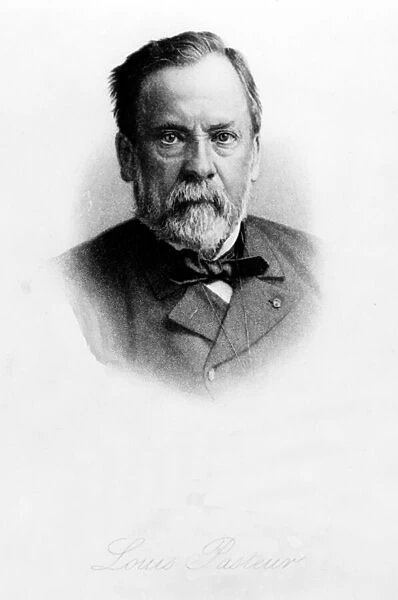 Louis Pasteur (1822-95) (engraving) (b  /  w photo)