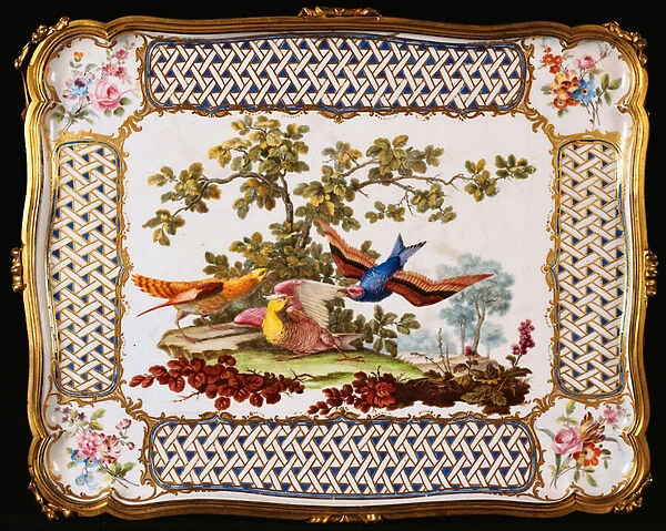 A Louis XV Sevres tray decorated with three exotic birds in a landscape