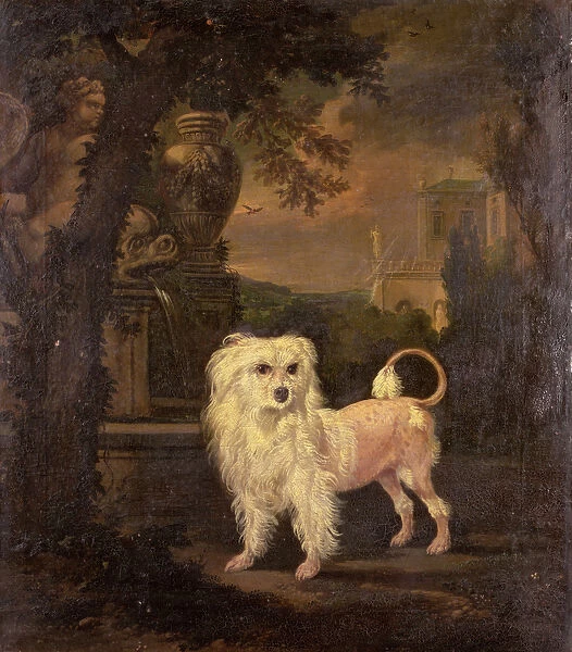 A Lowchen By A Fountain (oil on canvas)