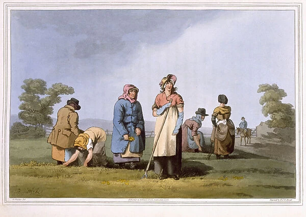 Lowkers, engraved by Robert Havell the Elder, published 1814 by Robinson and Son