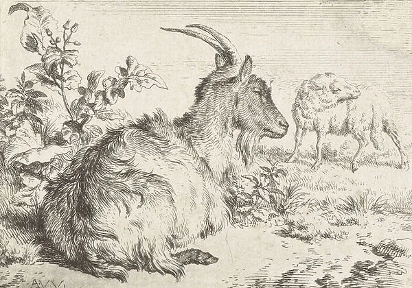 Lying goat, 1670 (etching)
