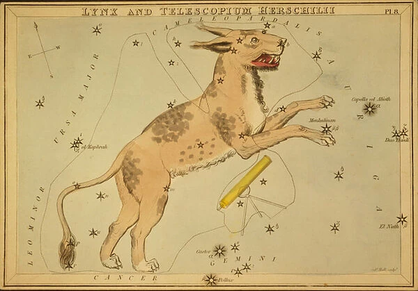 Lynx and Telescopium Herschilii, Illustration from Uranias Mirror
