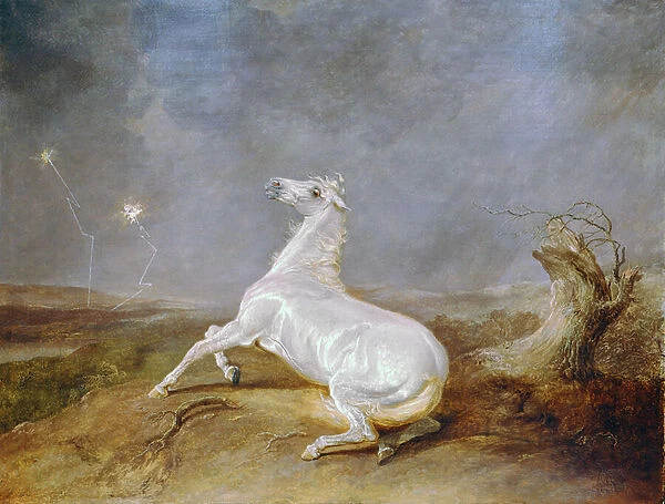 Mad Horse (oil on canvas)