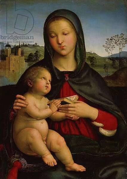 Madonna and Child with Book, c.1502-03 (oil on panel)