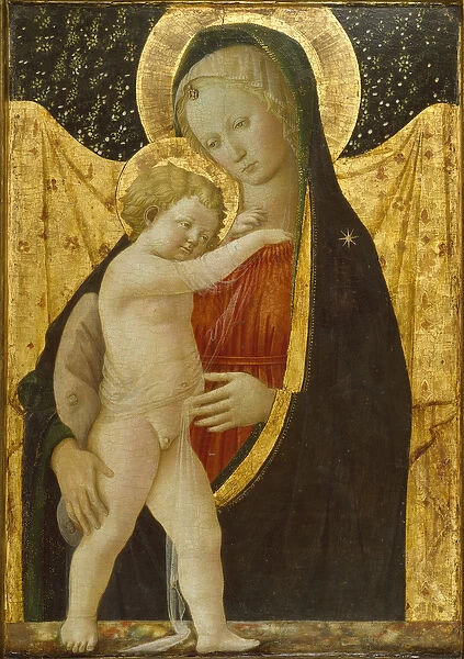 Madonna and Child, c. 1446-47 (tempera & gold on panel)