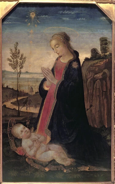 Madonna and Child in a Landscape (oil on panel)