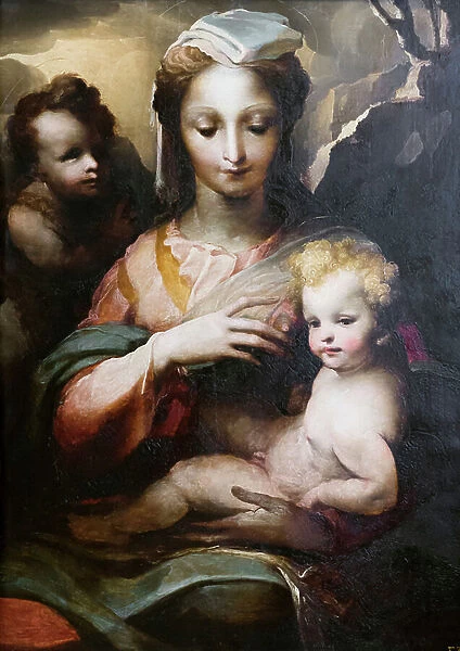 Madonna and Child with a young saint John the Baptist, 16th century (oil on panel)