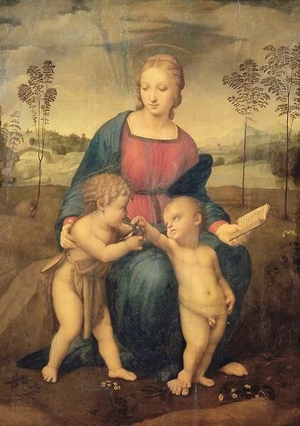 Madonna of the Goldfinch, c. 1506 (oil on panel) (pre restoration)