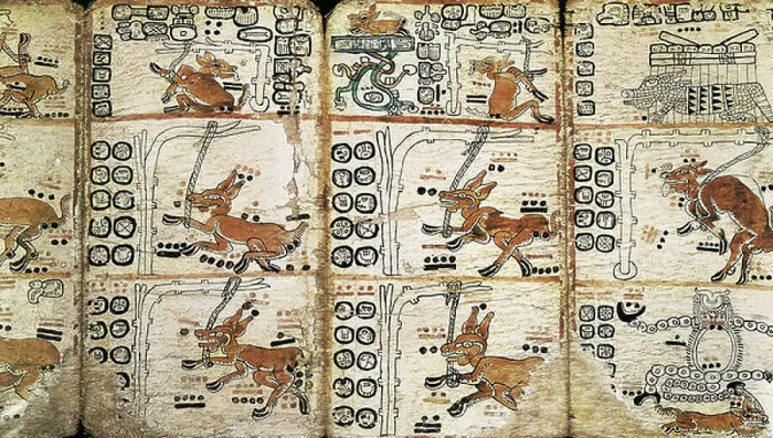 Framed Print : The Madrid Codex or Tro-Cortesianus Codex, treatises of horoscopes and astrological tables, brought to Spain by Hernan Cortes (1485-1547), 14th century (painted miniatures)