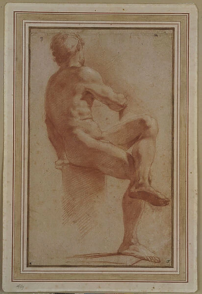 A Male Nude Seated with his Back Turned (red & white chalk on buff paper)