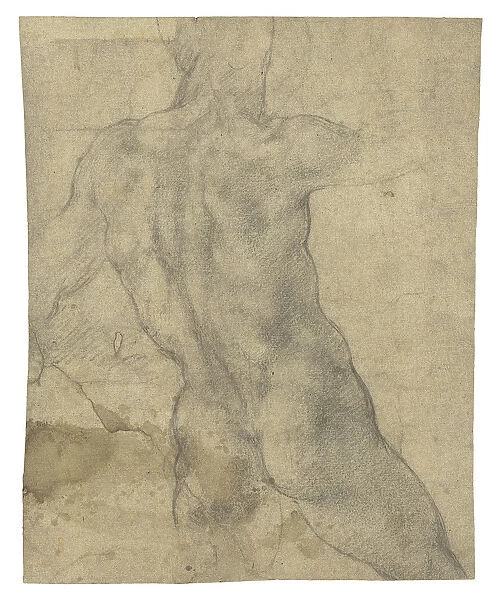 A male nude seen from behind (chalk on paper) (recto of 433457)