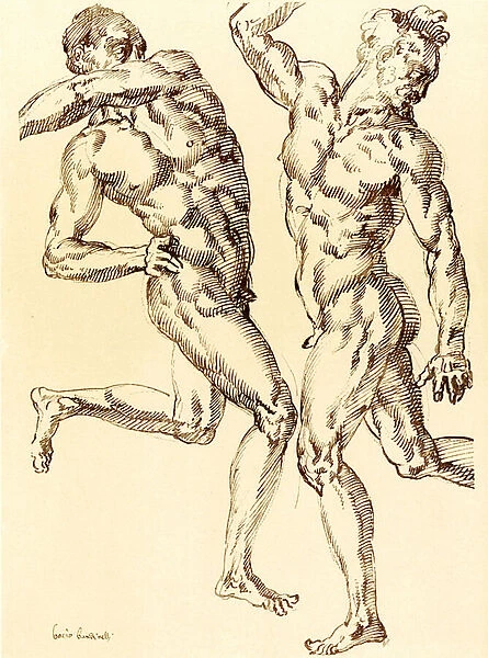 Two male nude studies