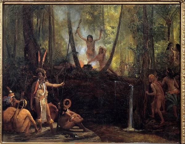 The manufacture of curare in the bresilian forest Extraction of curare