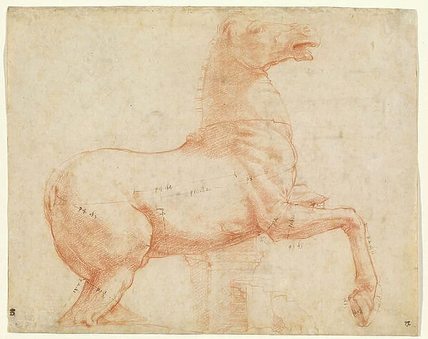 A Marble Horse on the Quirinal Hill (recto), c. 1513 ( red chalk, pen, brown ink, lead point & stylus)