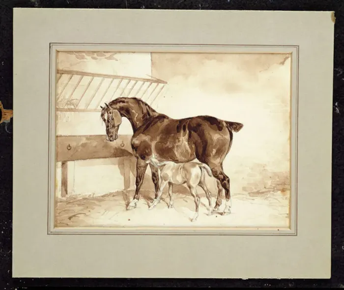 Framed Print : Mare and foal