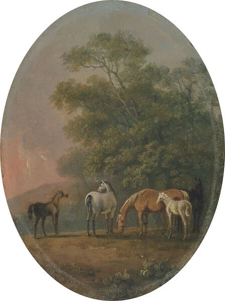 Mares and Foals, c. 1770-80 (oil on metal)