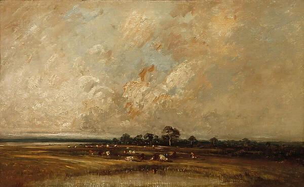 Marshland, 1860s-70s (oil on fabric)